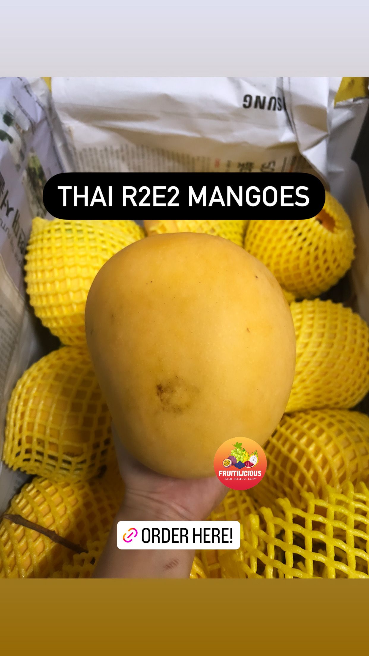 THAI R2E2 MANGOES_2