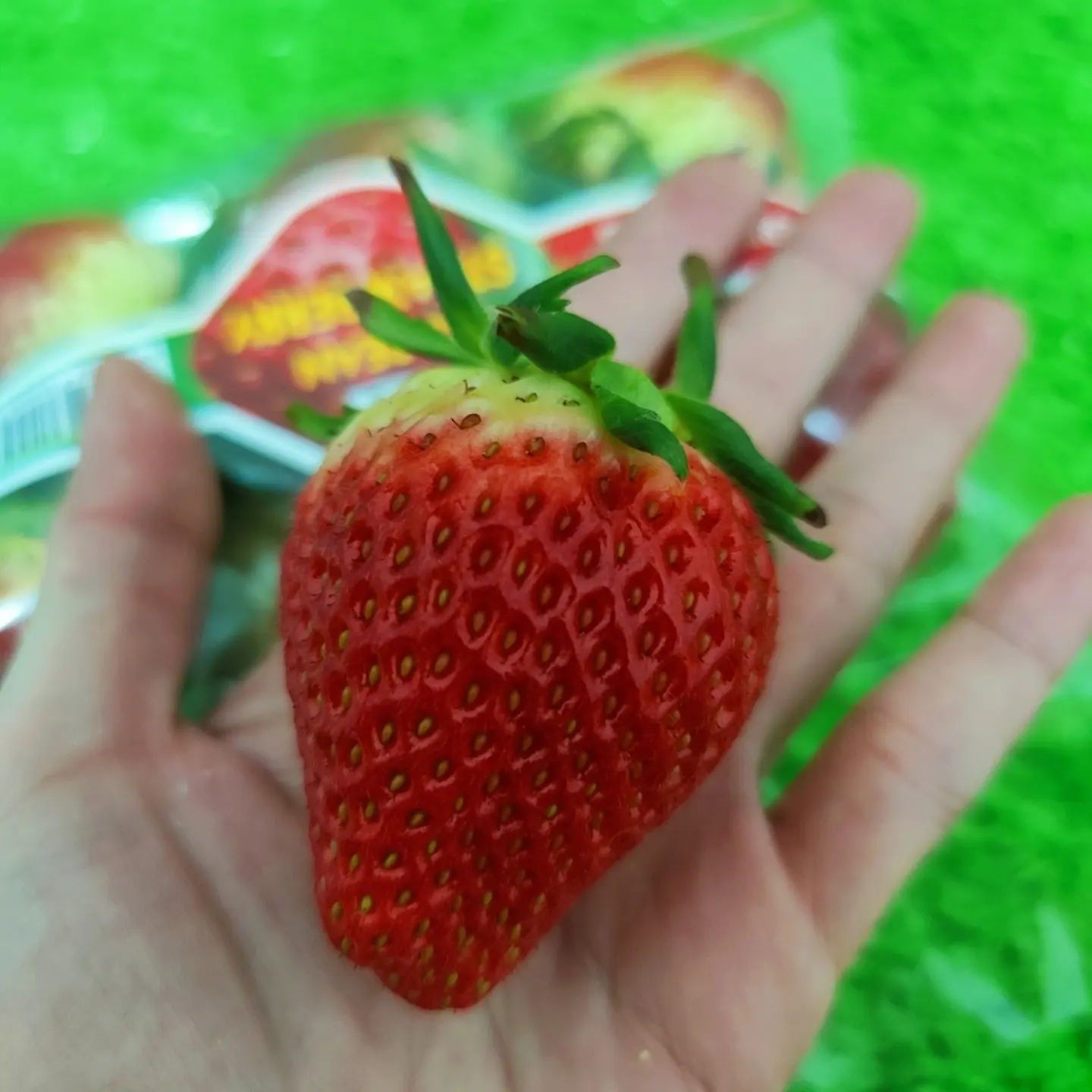 KOREA Maehyang Strawberries (~330g)_0