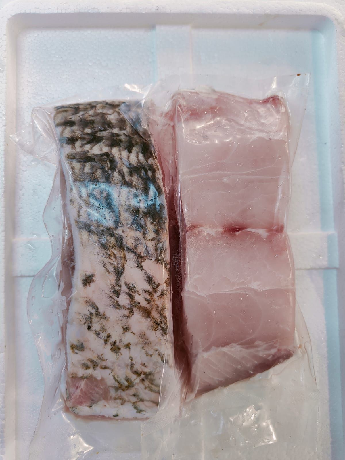BALAI THREADFIN PORTION _1