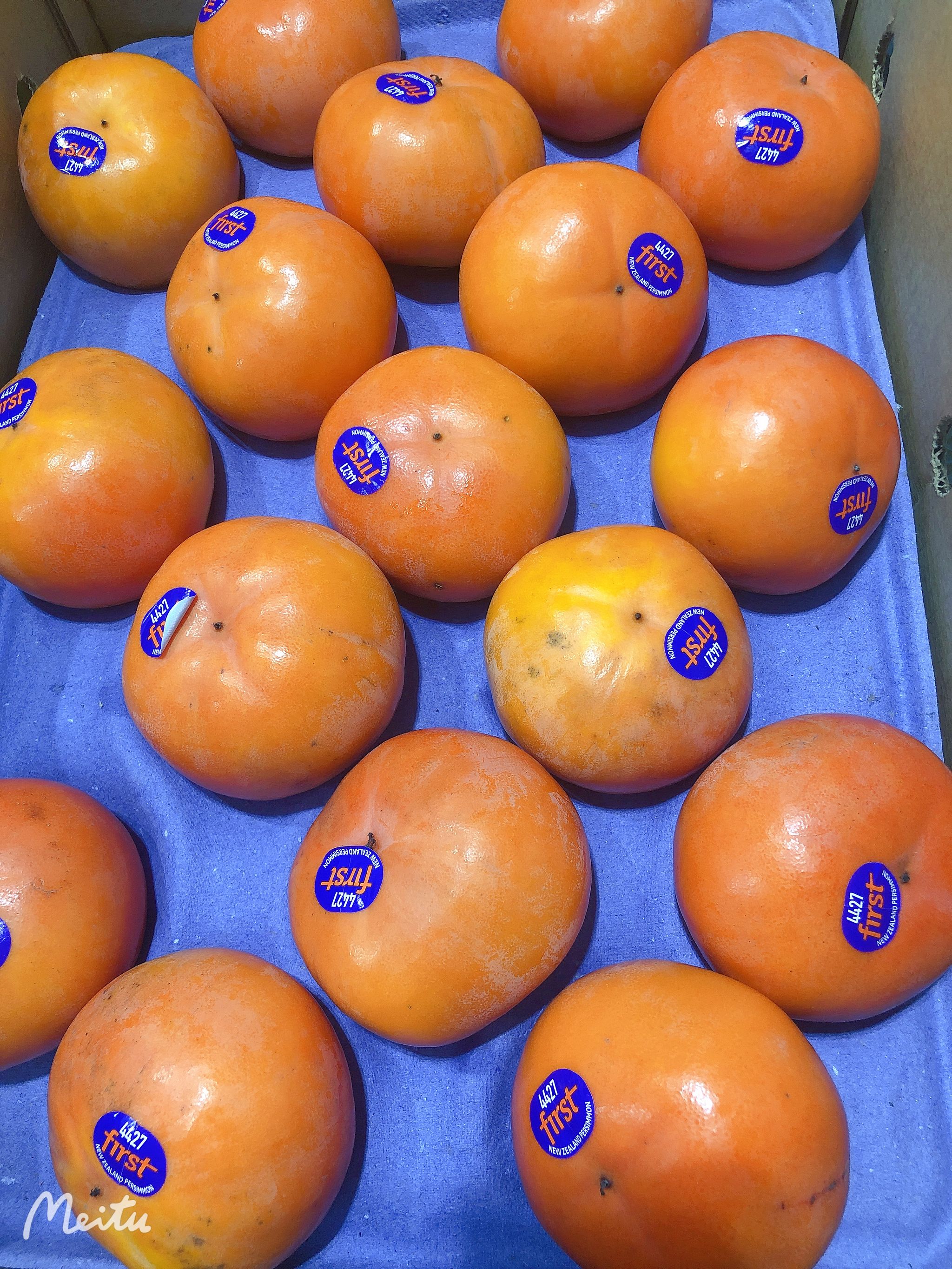 NZ Persimmon_0