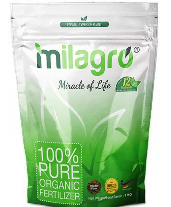 MILAGRO_0