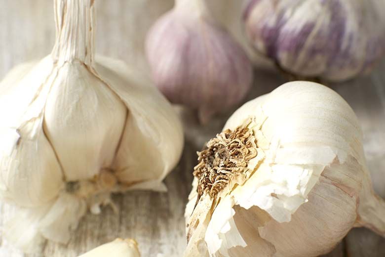 Garlic (Pre Order Pack - 200grams to 300 grams) - 蒜_0