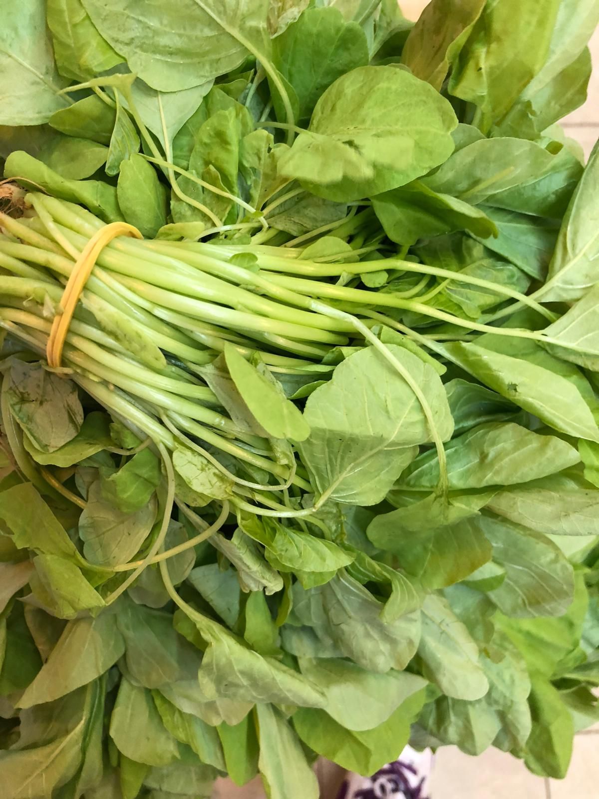 Local Grown Taiwan Baby Spinach 200g - 本地种植台湾苋菜_0