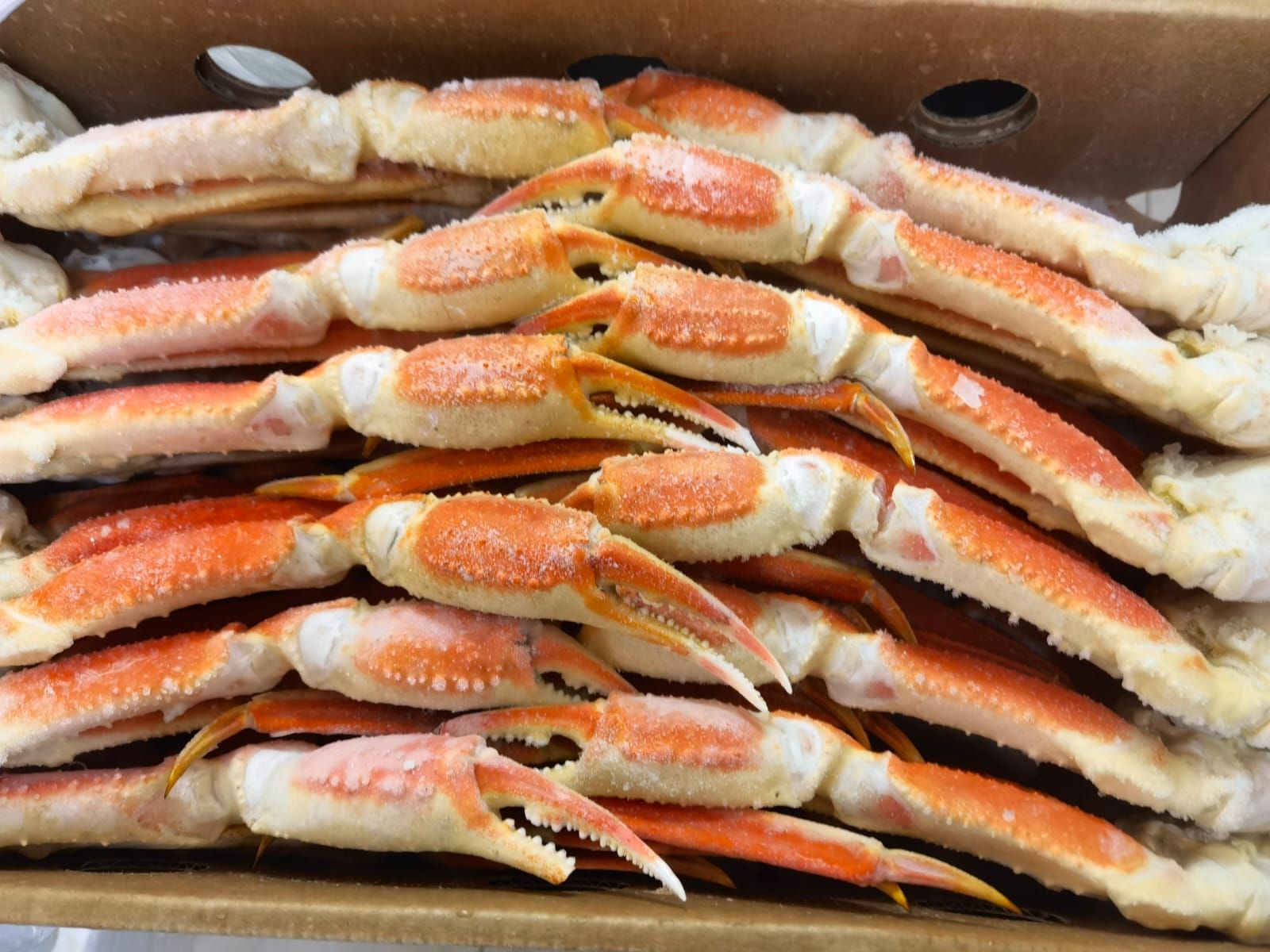 Alaska King Crab (leg) - kg_2