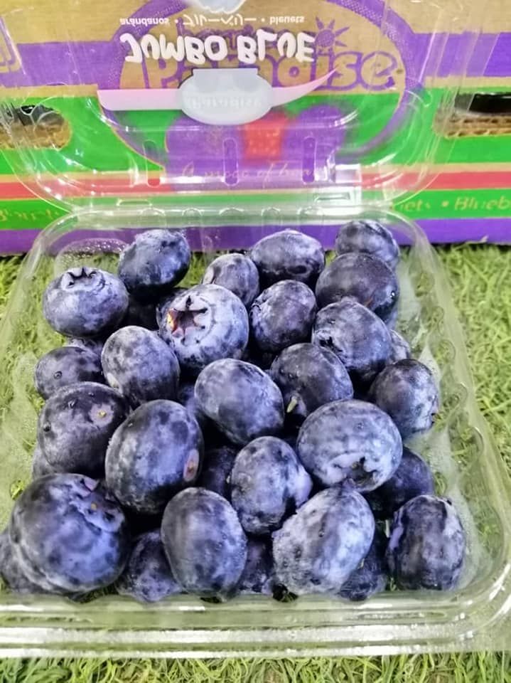 MEXICO Jumbo Blueberries 125g_2