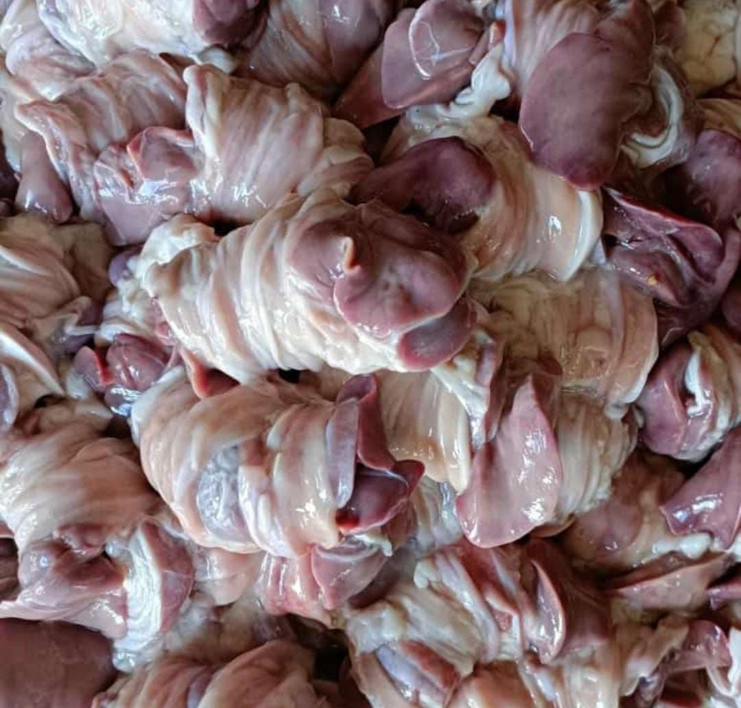 Ati Ampela Per 3 Pcs_0