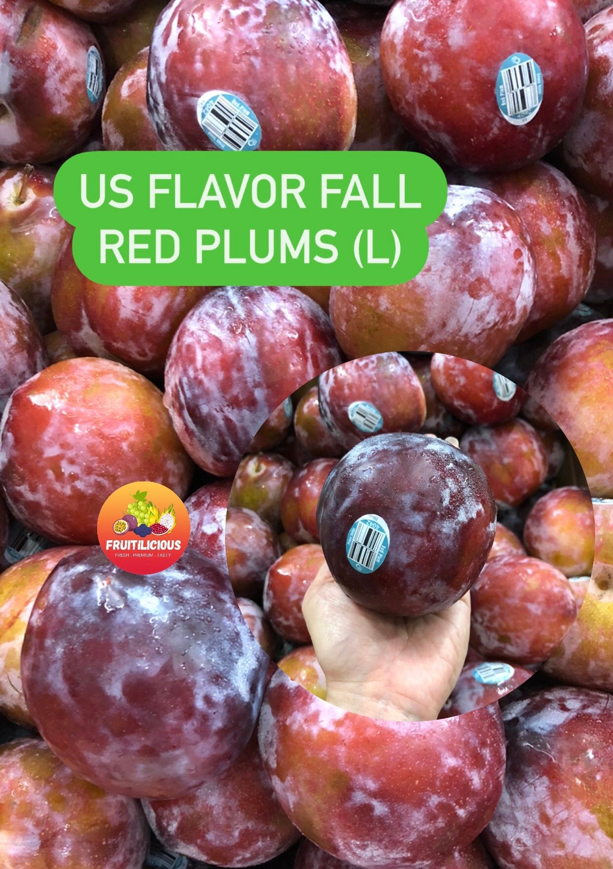 US FLAVOR FALL RED PLUMS (XL)_0