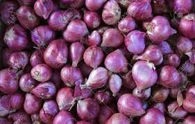 onion small_0