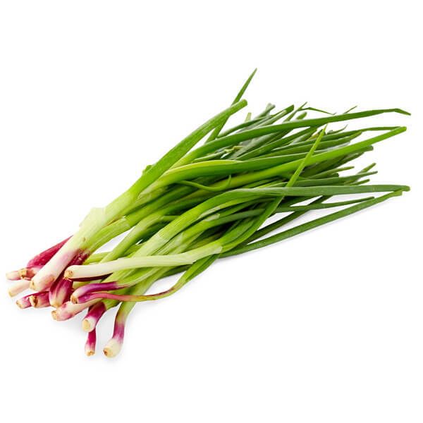 Daun Bawang _0