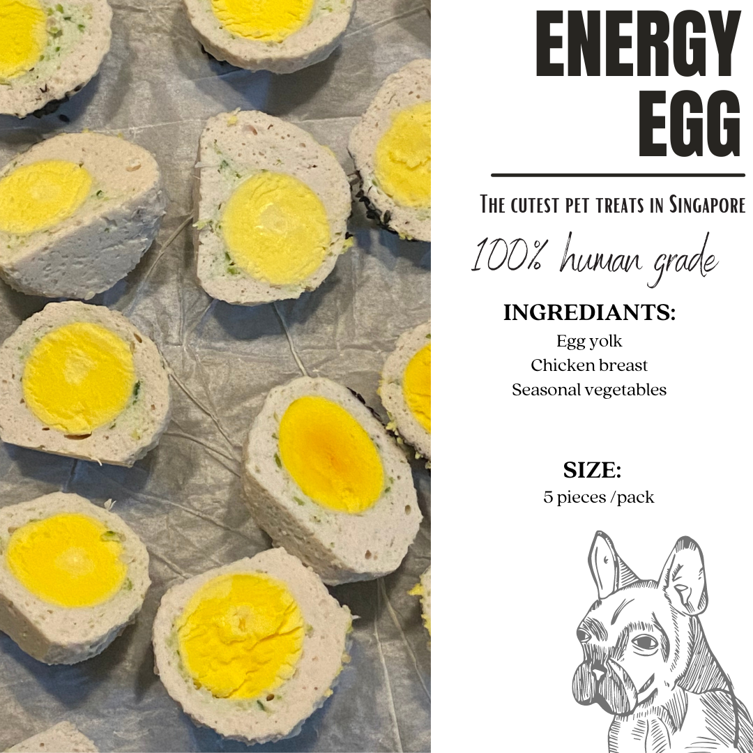 3*Energy Egg 🐱🐶_0