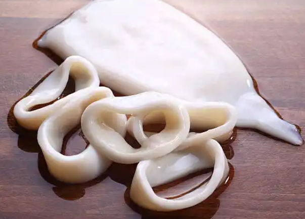 Calamari_0
