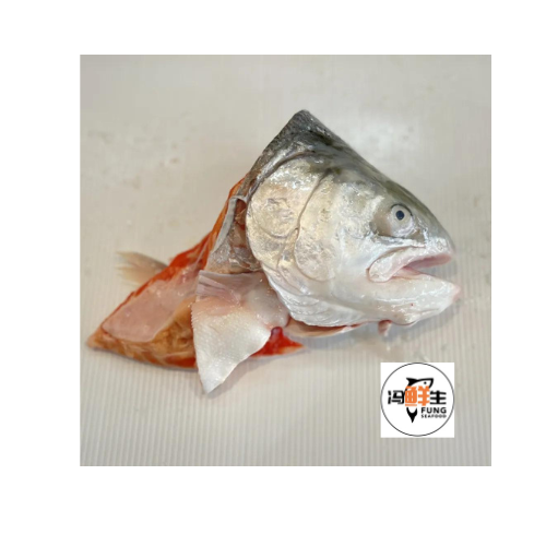 Norwegian Salmon Trout Fillet (三文鱼 头)_0