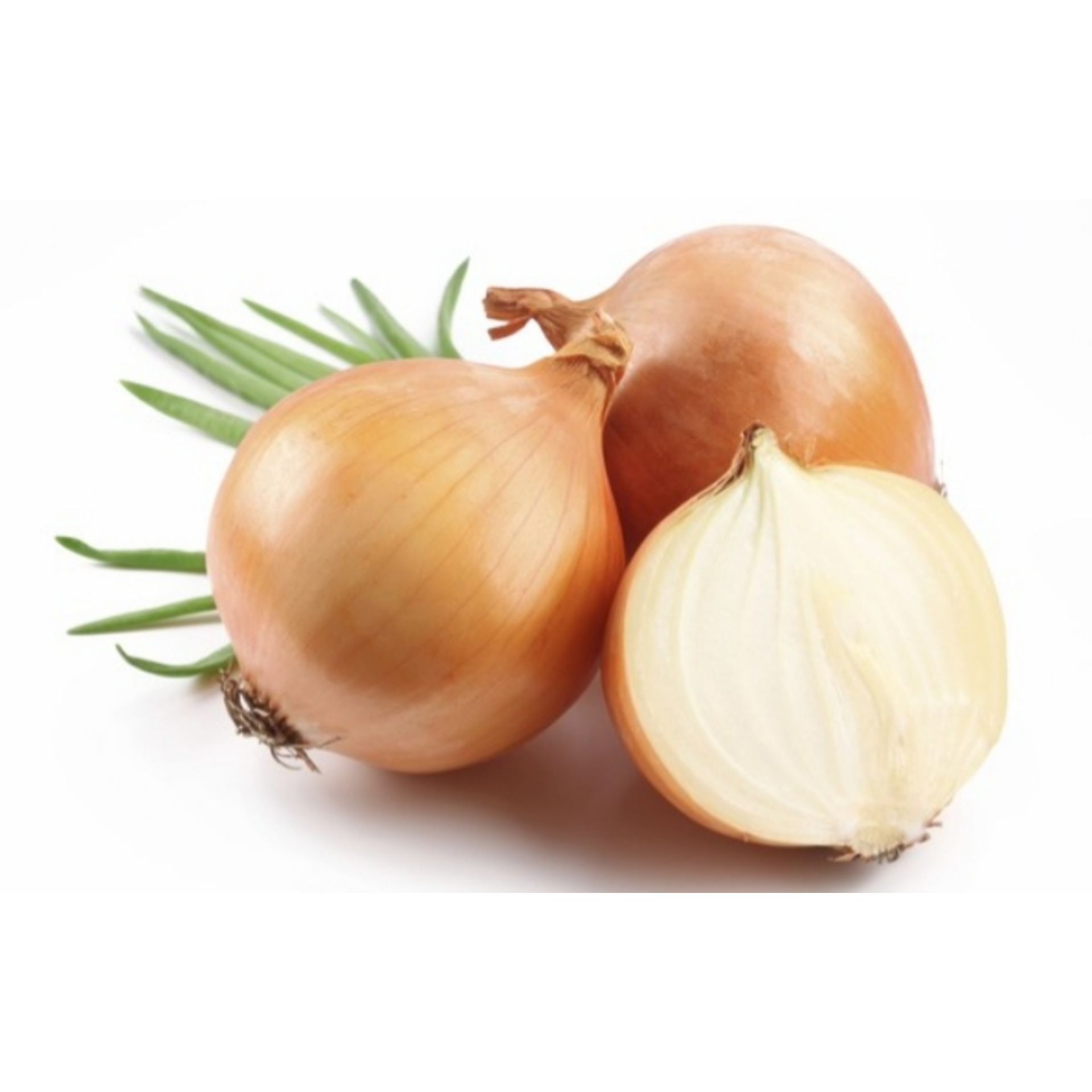Bawang Bombay_0