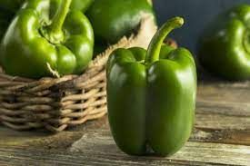 capsicum_0