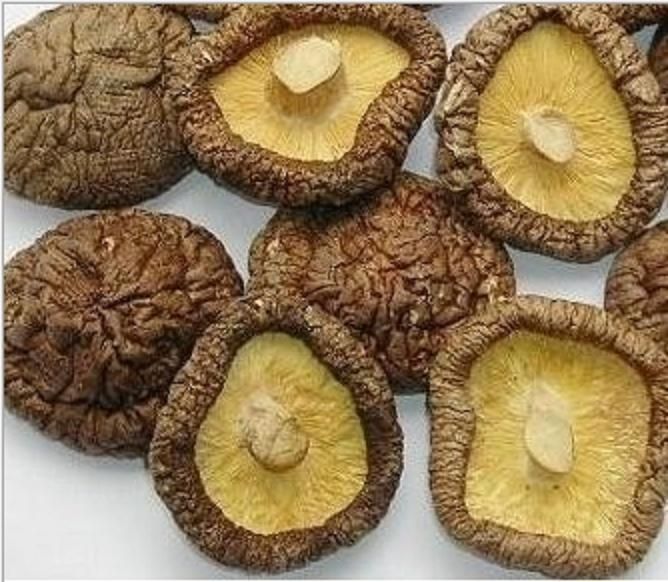 Dried Mushroom, Sliced Mushroom and White Flower Mushroom - 干香菇, 蘑菇片 和 白花蘑菇_0