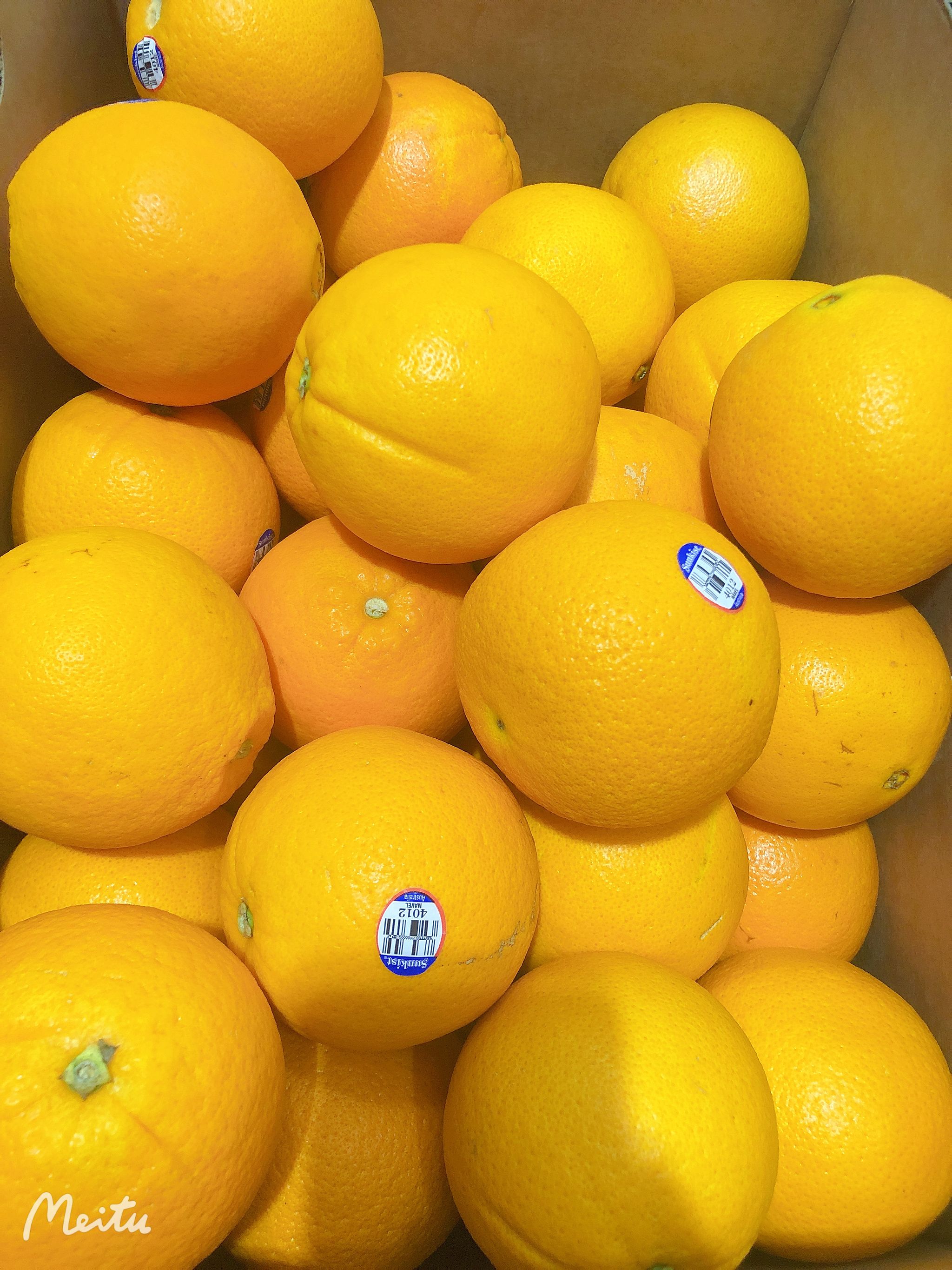 Aust Navel Orange Jumbo_0