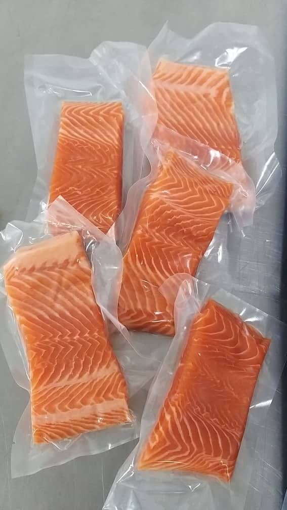 三文鱼块 Salmon Fillet_2