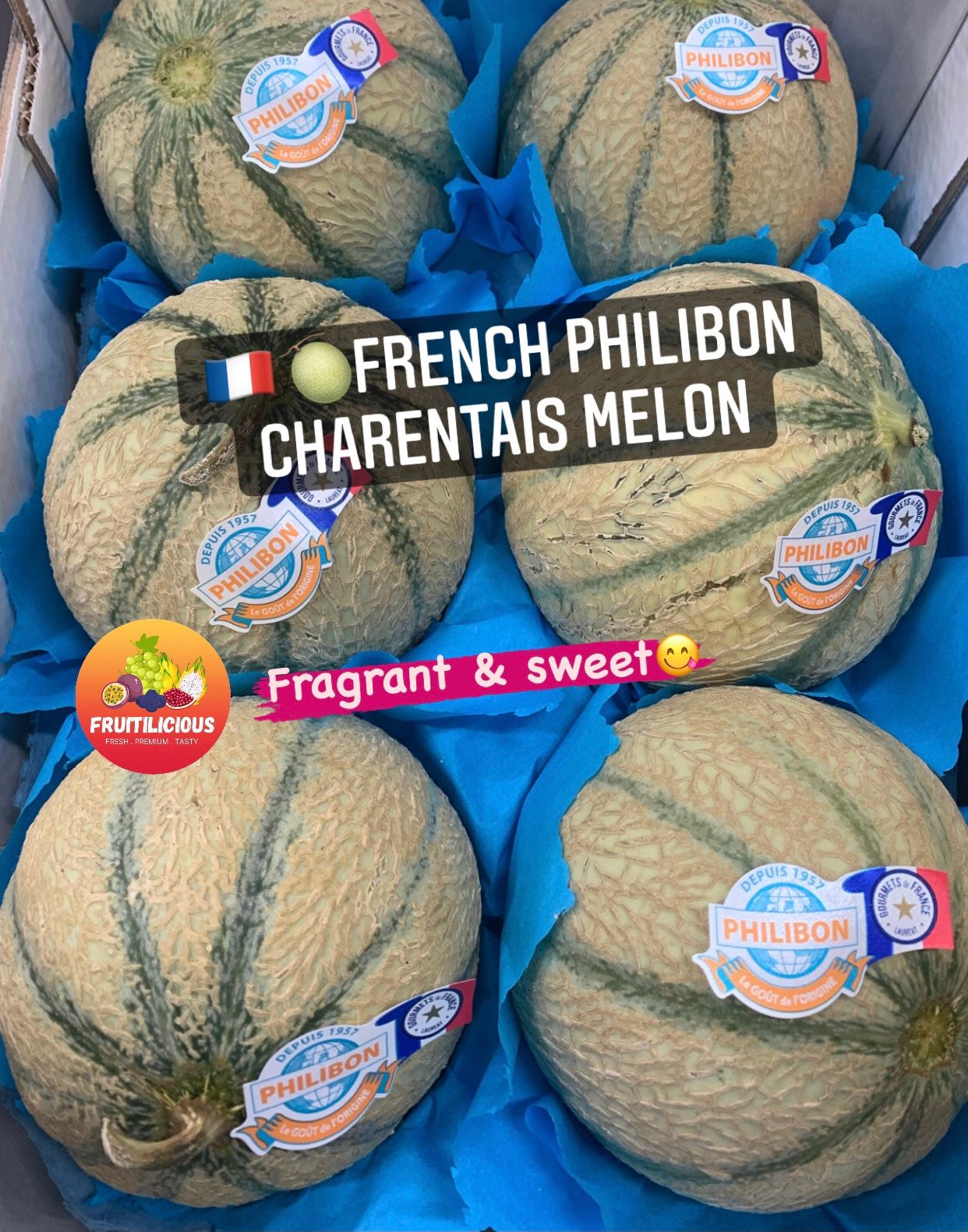 FRANCE PHILIBON CHARENTAIS MELON_1