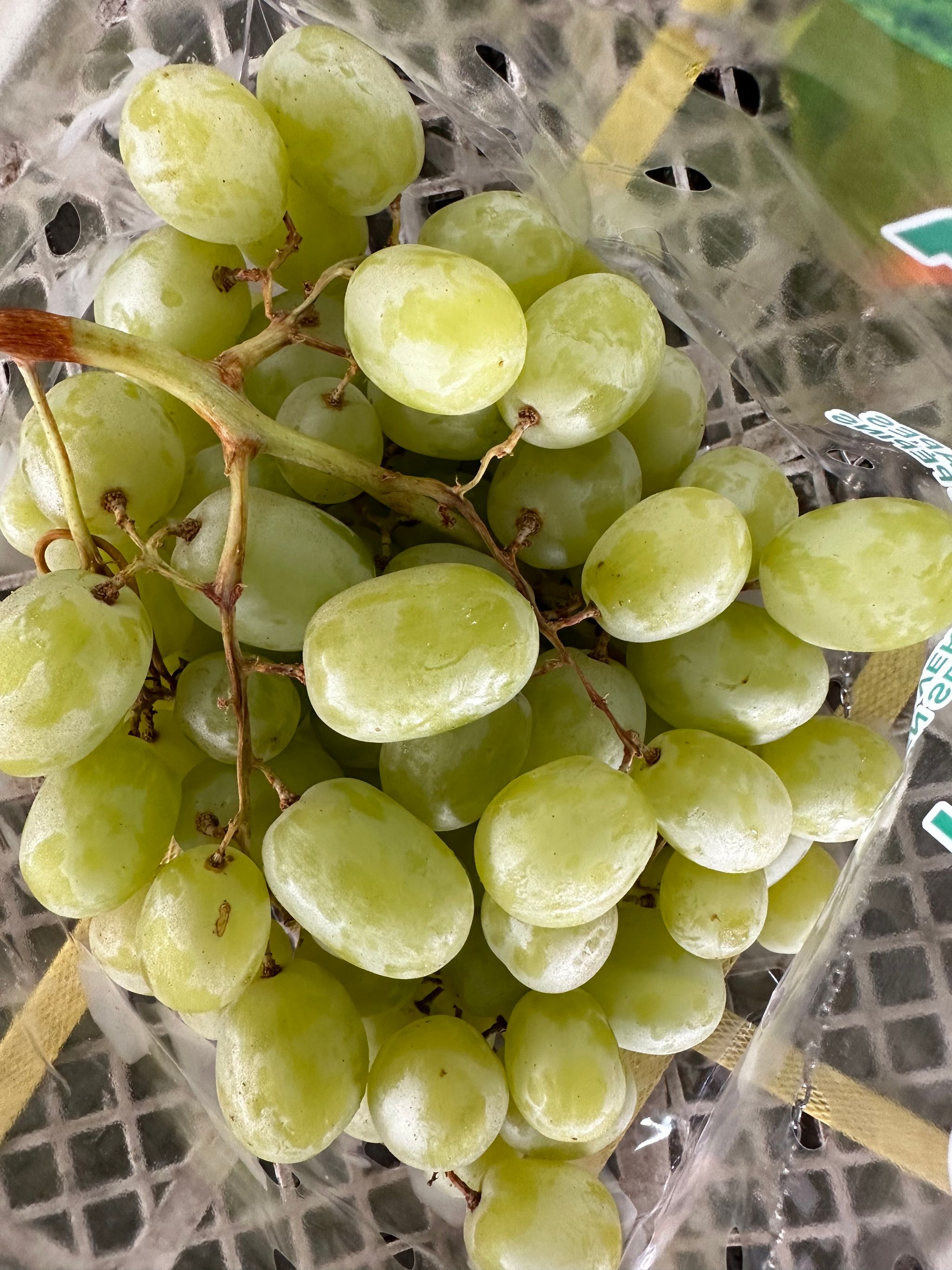USA Autumn King seedless grapes 1kg O_1