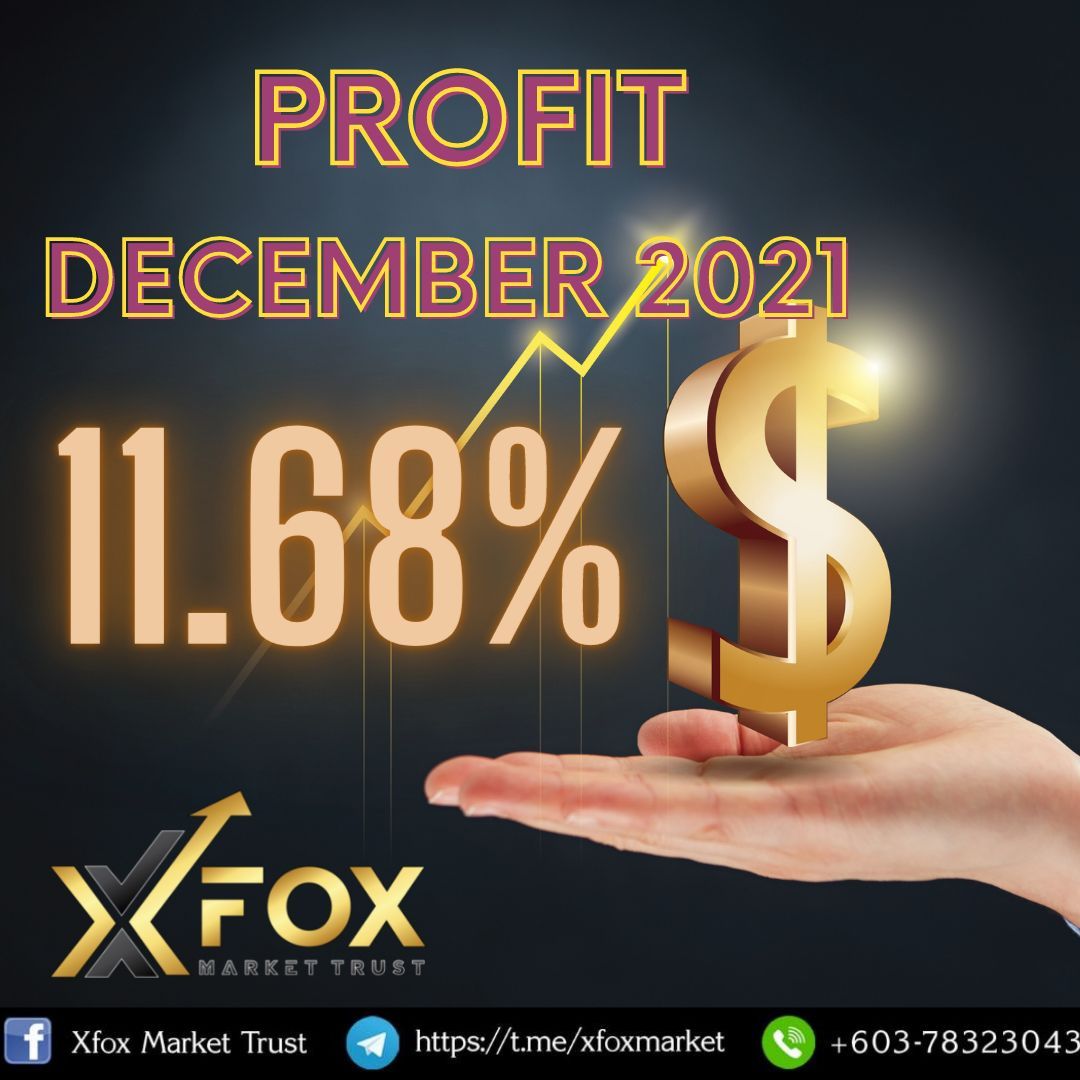 XFox Investment _2