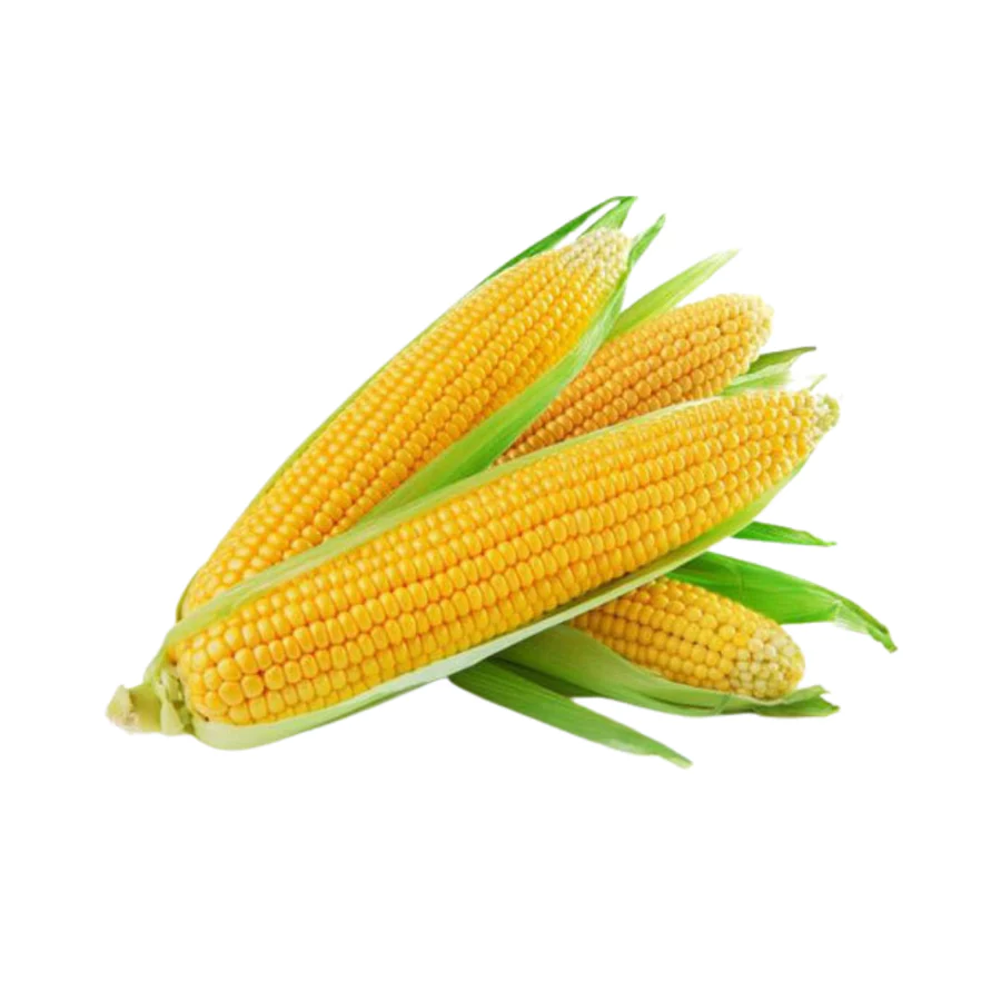 Sweet Corn(2 Per Pack) - 1 PC_0