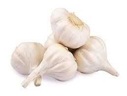 ORGANIC GARLIC_0