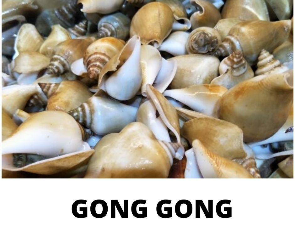 GONG GONG_0