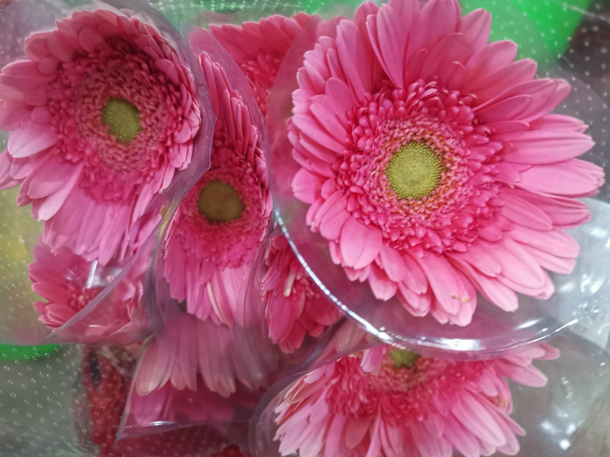 Gerbera daisy arrangements _2