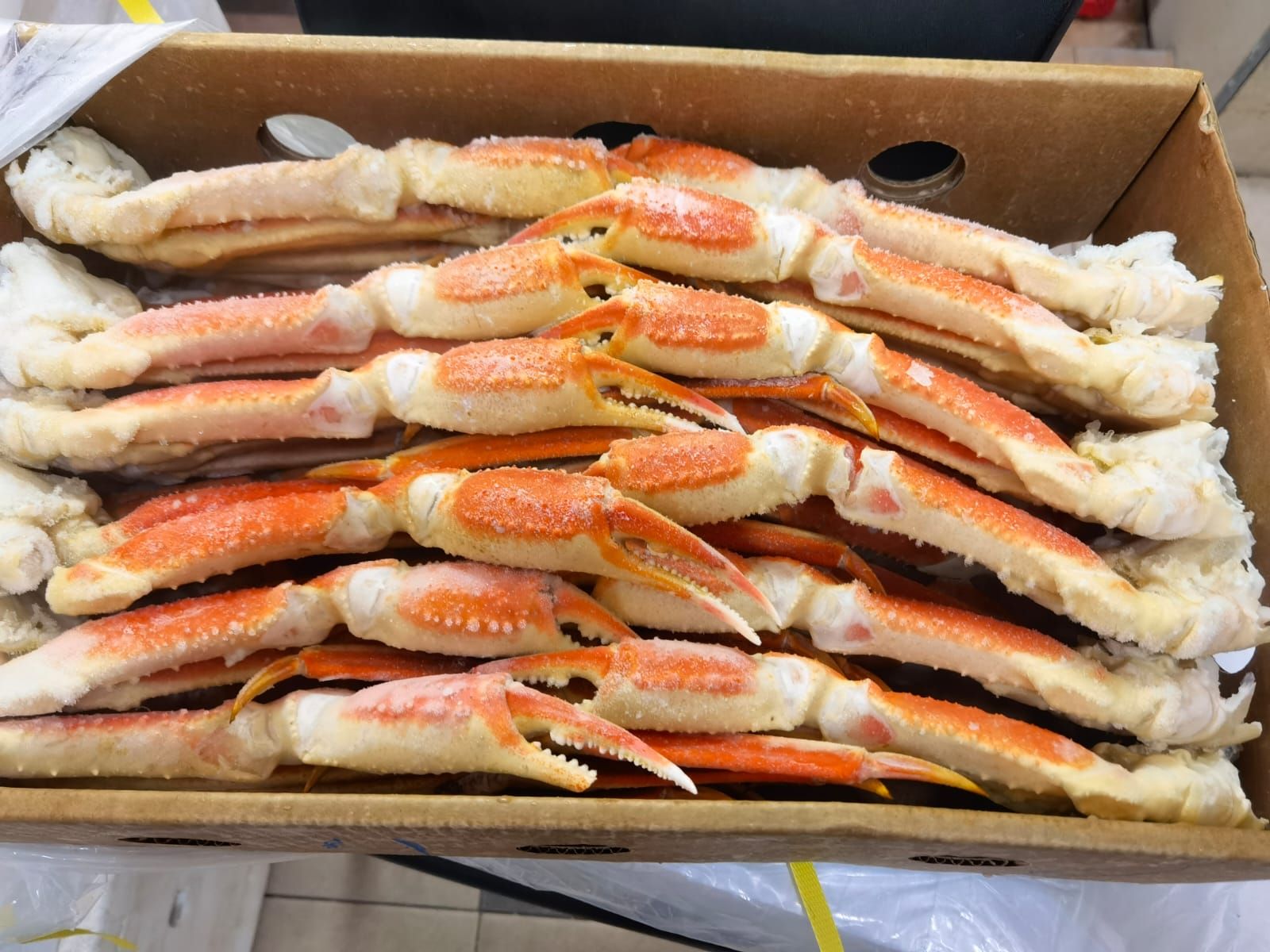 Alaska King Crab (leg) - kg_1