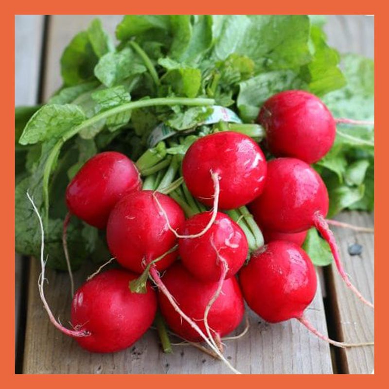 Red Radish (200g)_0