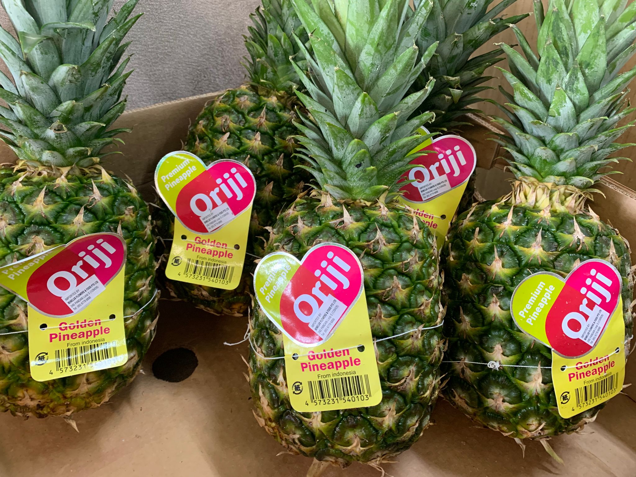 Honey Pineapple 1 pcs R.AY_0