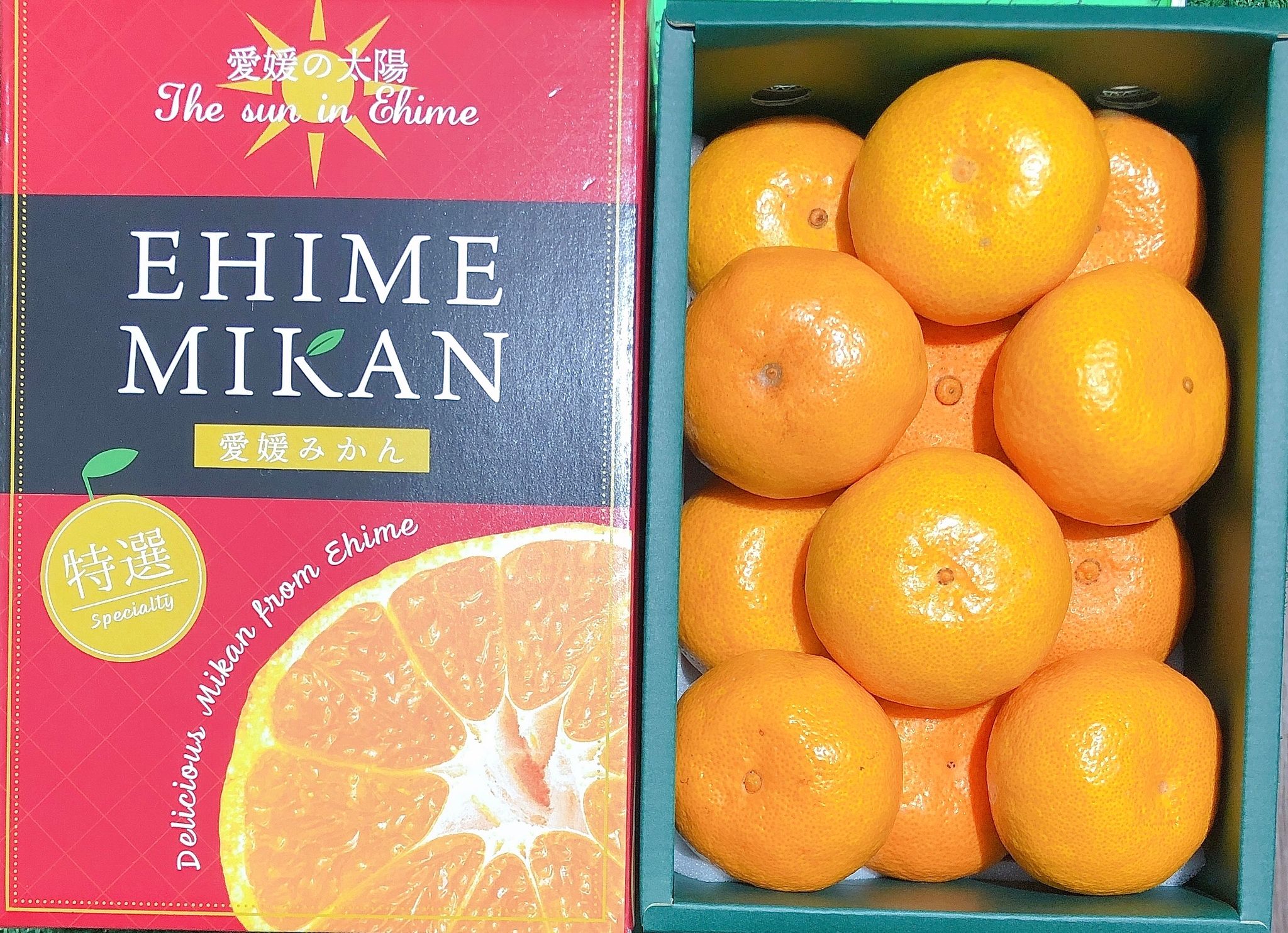 Japan Ehime Mikan Giftbox 1KG_0