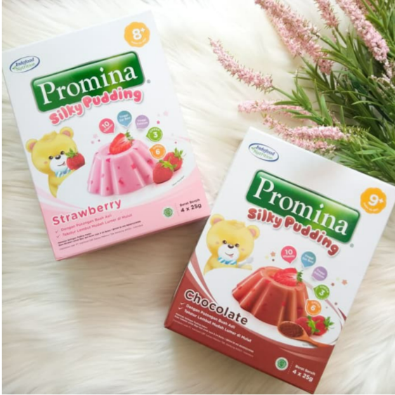 Promina SIlky Pudding Chocolate 100gr (9+)_0