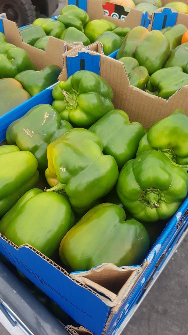 Green pepper_0