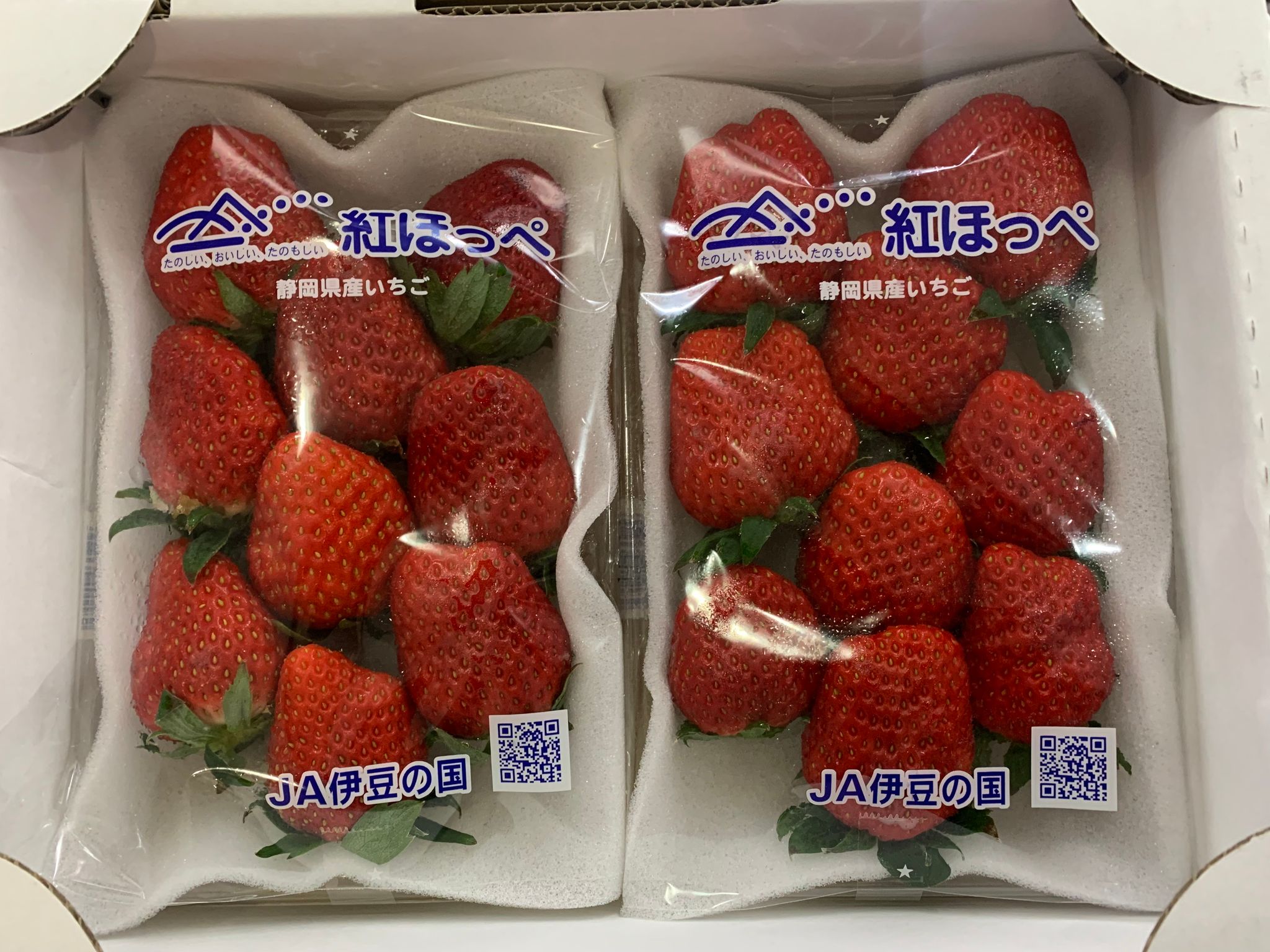 JPN IBARAKI BENI-HOPPE RED STRAWBERRIES_1