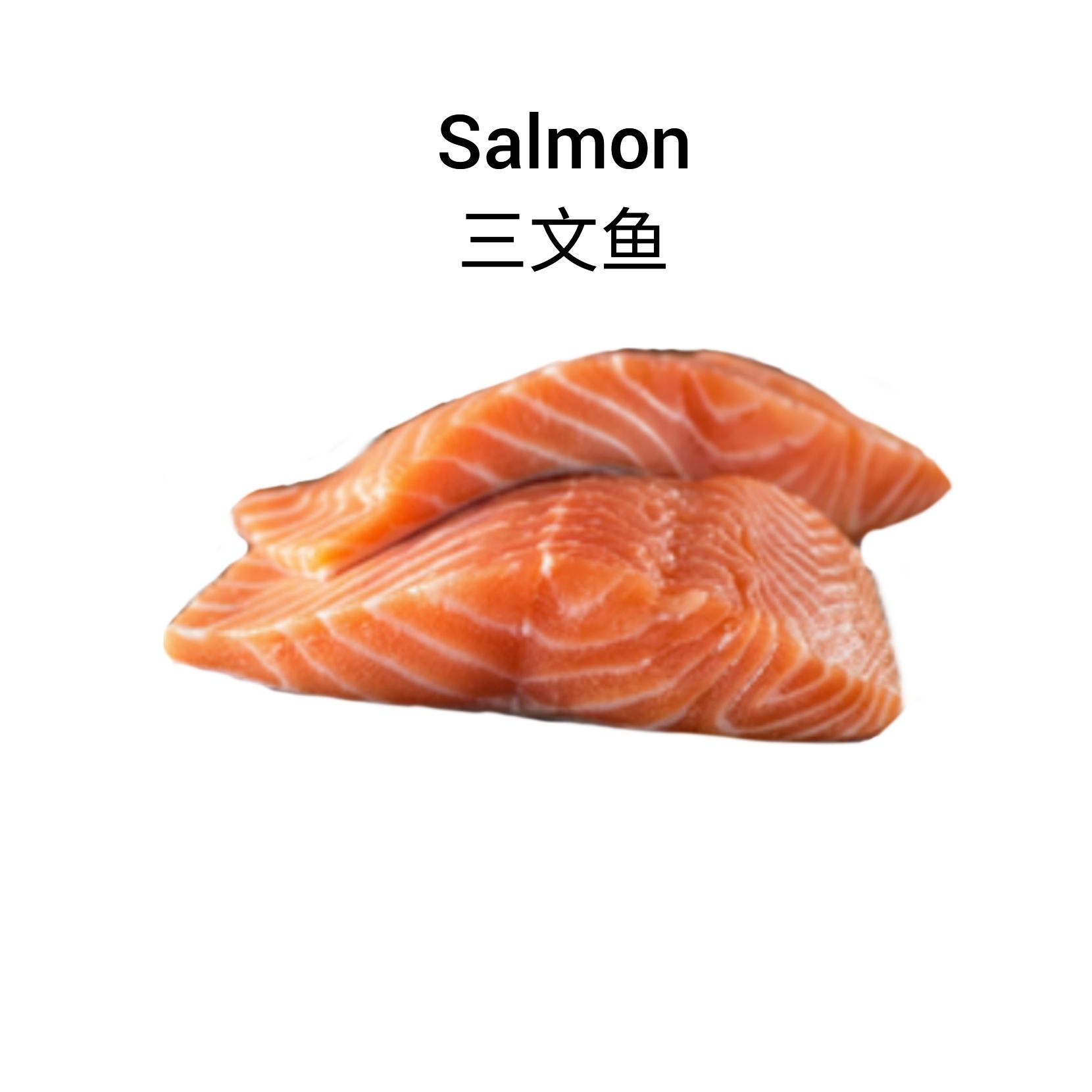 Salmon 三文鱼_0