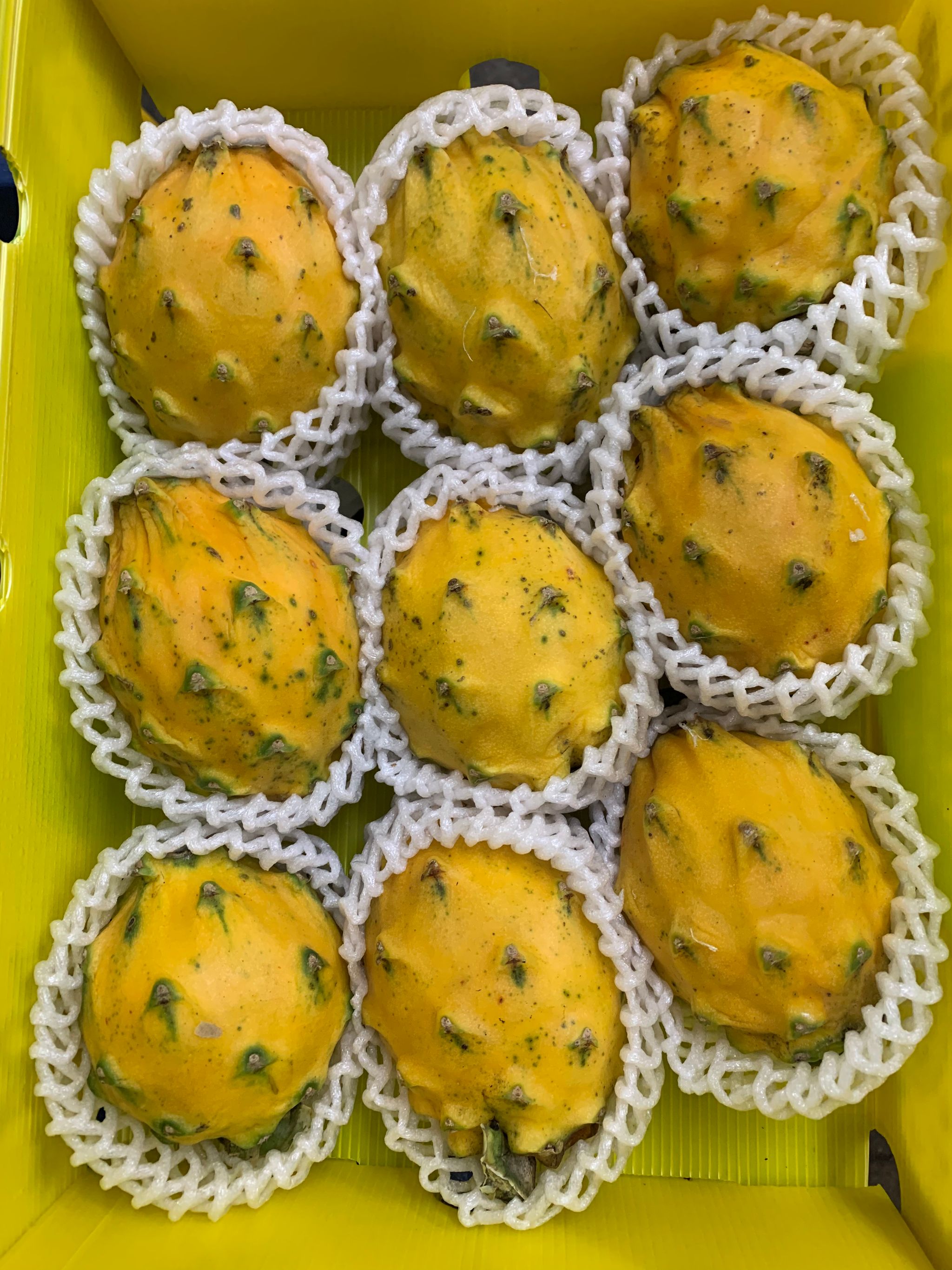 Yellow Dragon Fruits LY_0