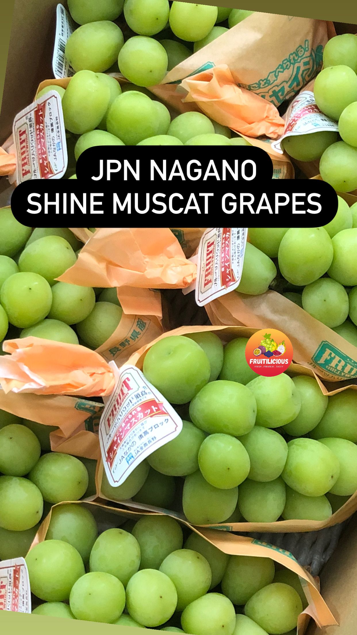 JAPAN NAGANO SHINE MUSCAT GREEN SL GRAPES_1