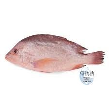 Whole Small Red Snapper/  红鸡_0