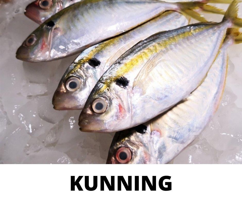 KUNNING_0