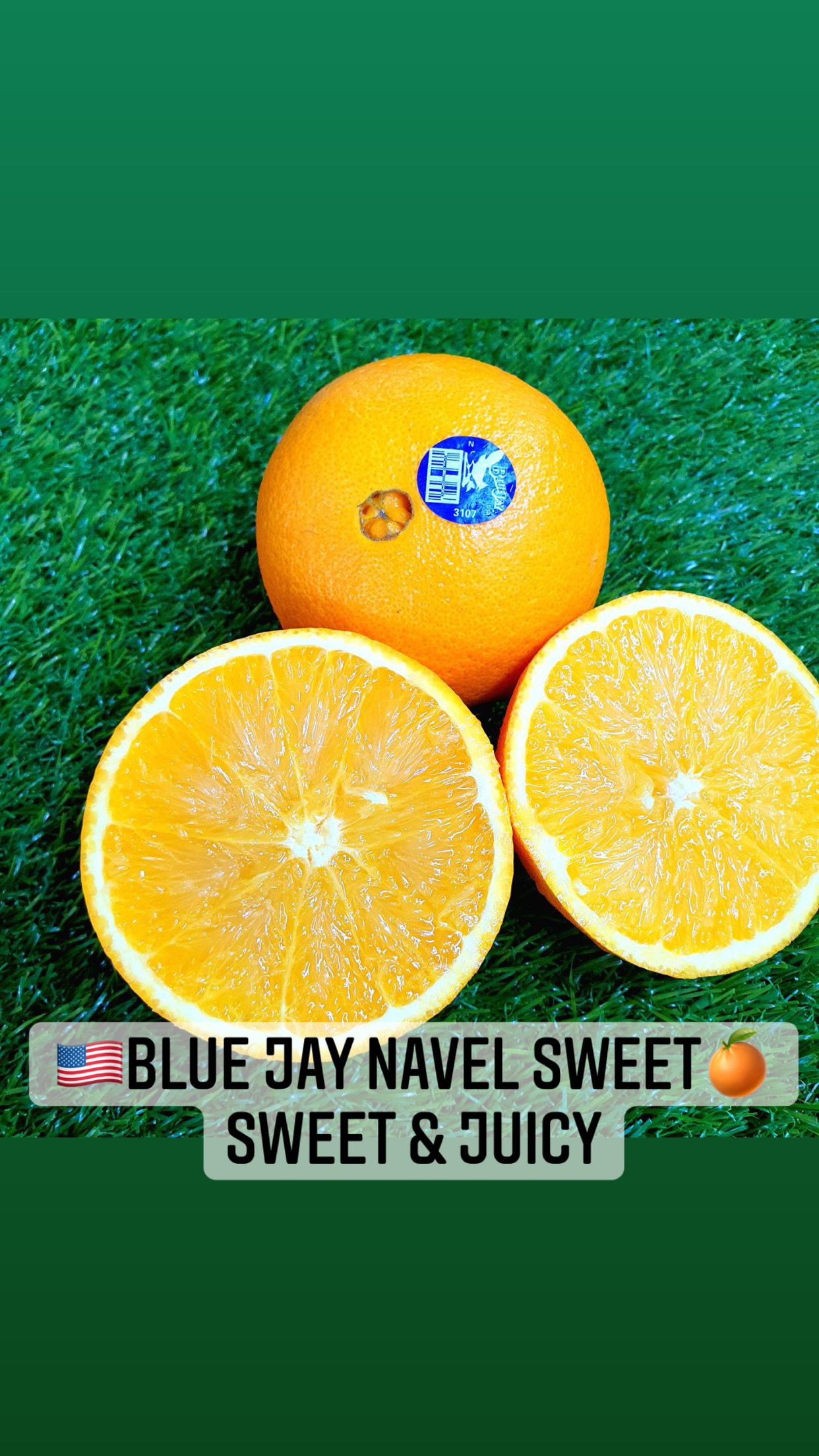 US BLUE JAY NAVEL ORANGES (XL)_1