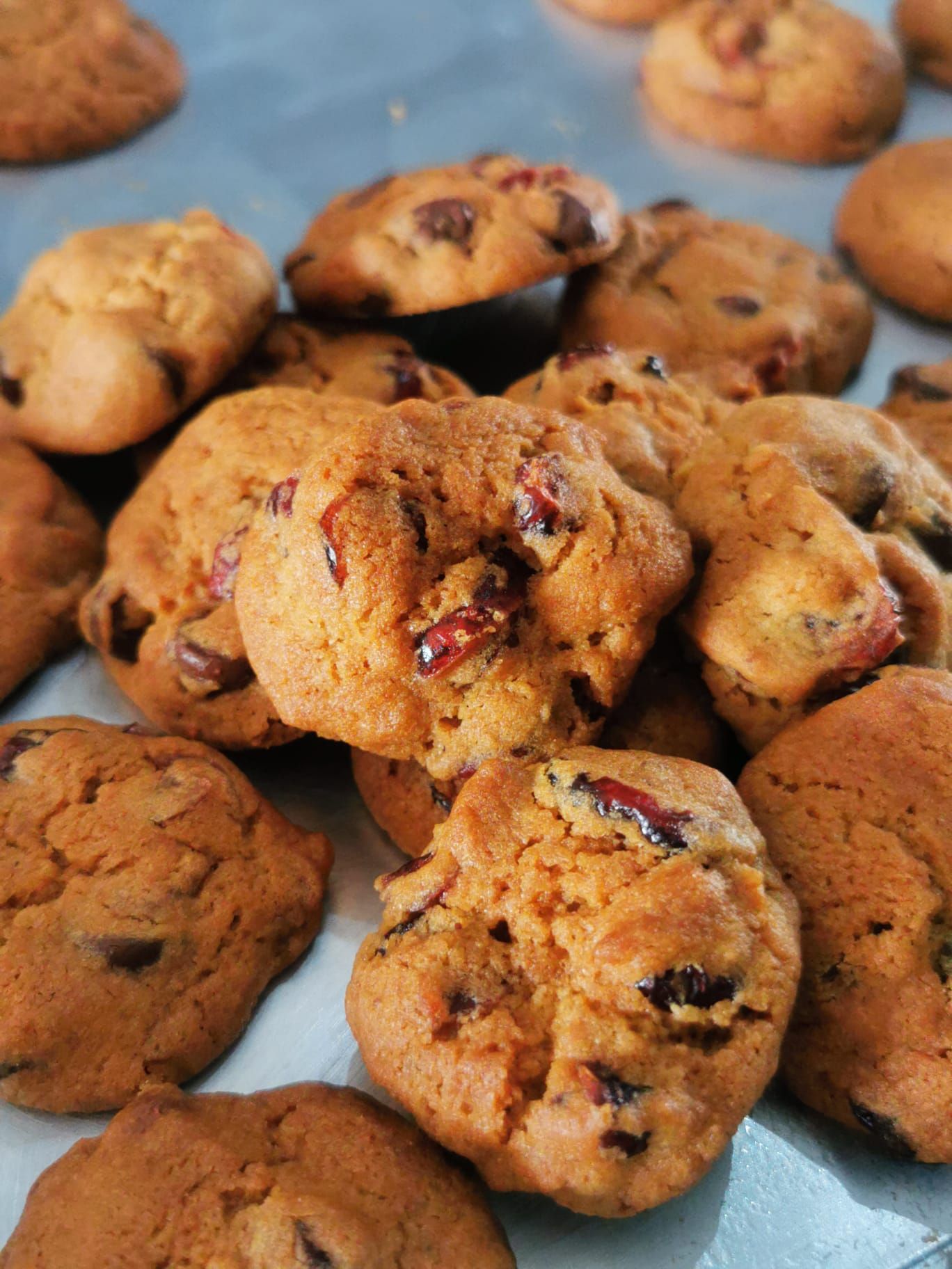 Cranberry Chocolate Chips_0