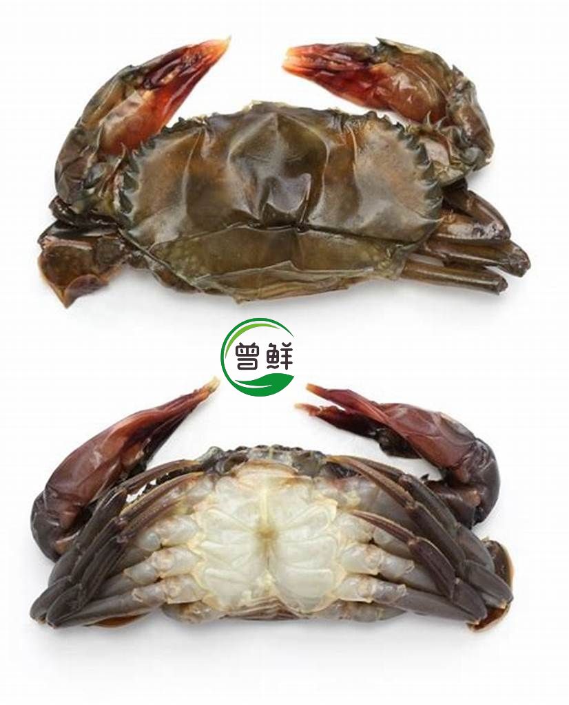 软壳蟹 Soft Shell Crab 5pcs_0