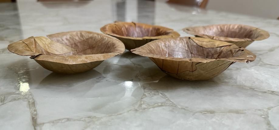 Cutlery  - Disposable Leaf Bowls (Donas)_3