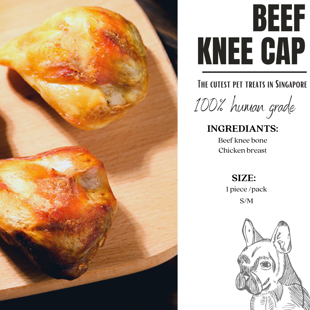 Beef knee Cap🐱🐶_0