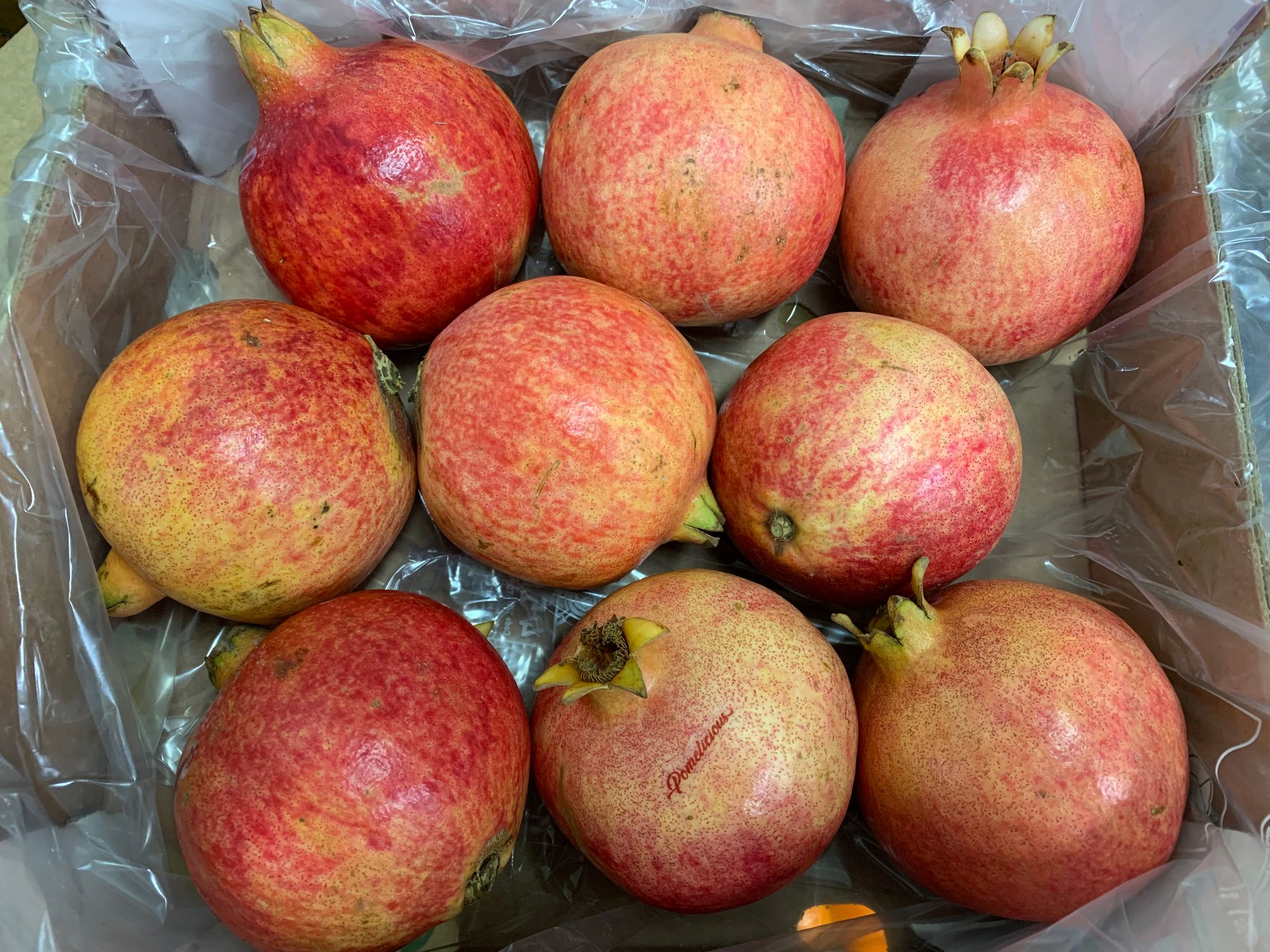 Peruvian Pomegrates [秘鲁石榴] ILQ_0