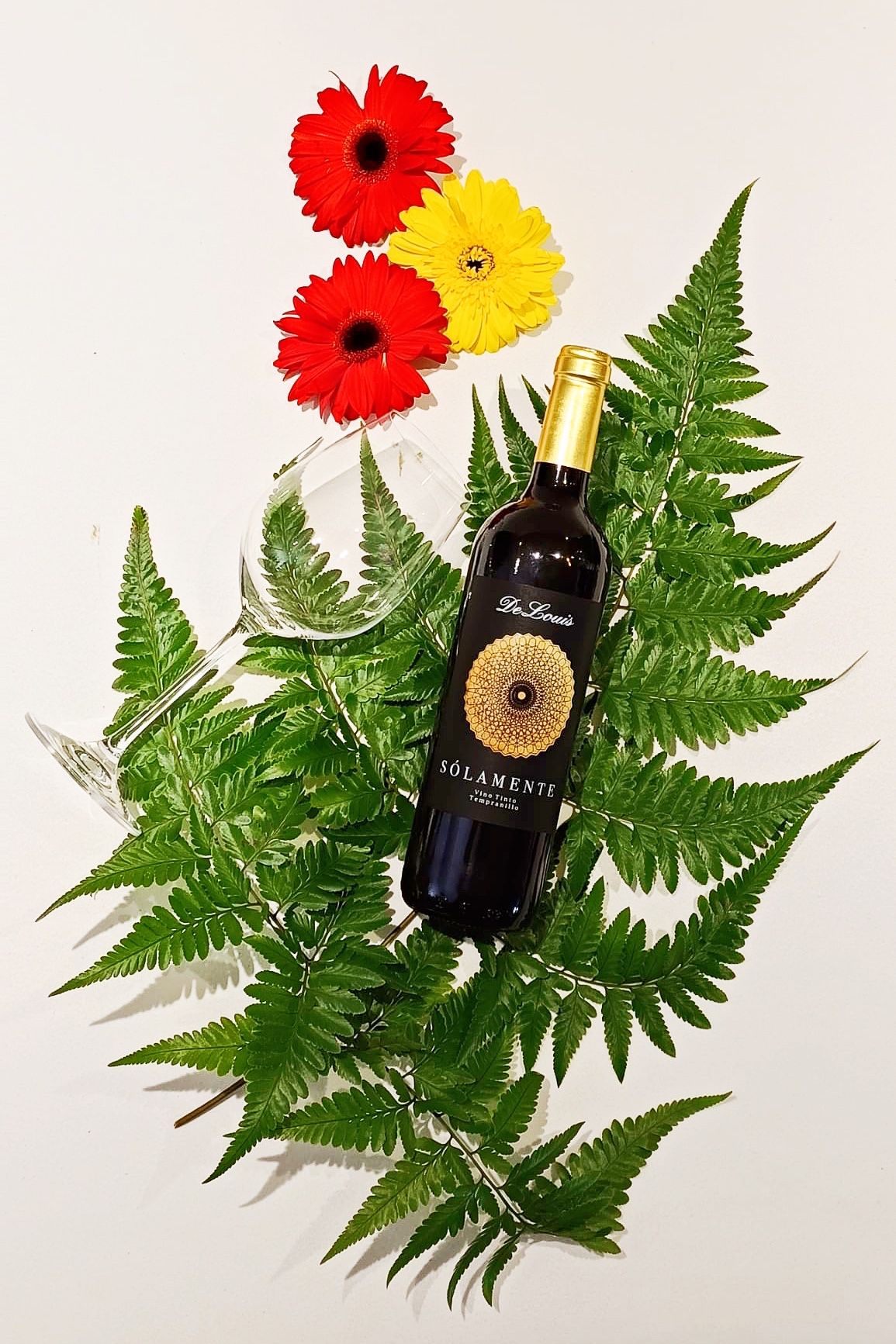 Solamente Tempranillo Red Wine_1