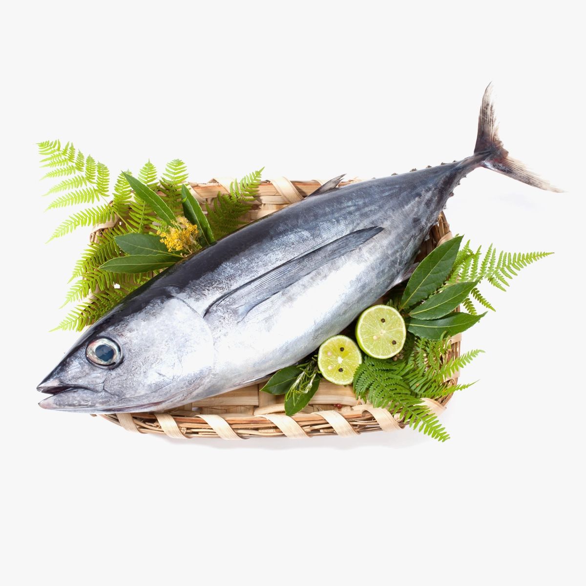 Tuna_0