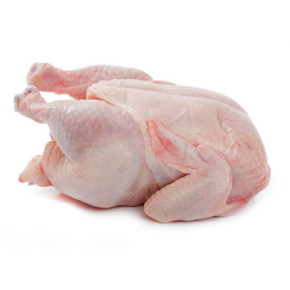 Ayam_0