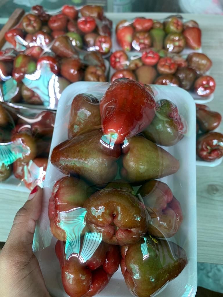Jambu Air Lonceng Merah _2
